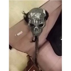 ORNAMENTAL SKULL CANE