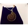 Image 2 : NECKLACE - GENUINE PREHISTORIC AMMONITE FOSSIL IN STERLING SILVER SETTING - ON ROPE