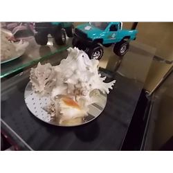 SHELLS - 3 TTL