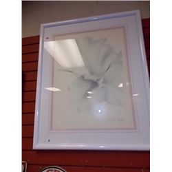 FRAMED PRINT - FLOWERS