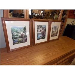 FRAMED PICTURES - 3 TTL - LANDSCAPES