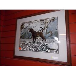 FRAMED PRINT - DOG