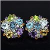 Image 1 : Natural Multi Gemstone EarRing