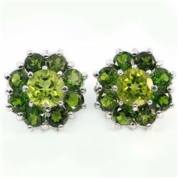Natural Peridot & Chrome Diopside Earrings