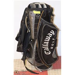 SPALDING GOLF CLUBS WITH BAG