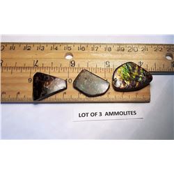 #21 - LOT OF 3 GREEN & PURPLE FIRE AMMOLITE