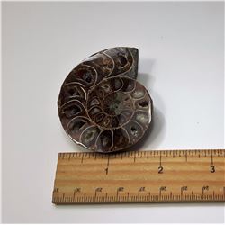 #17 -  LARGE AMMONITE FOSSIL SPECIMEN