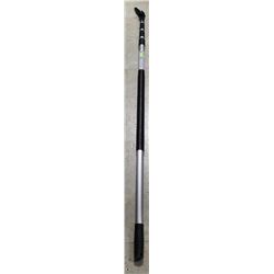 EXTENSION POLE