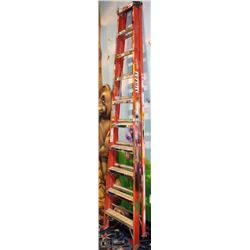 STURDY 10FT LADDER