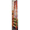 Image 1 : STURDY 10FT LADDER