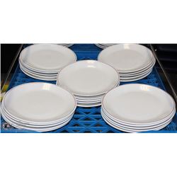 FLAT OF 25 DINNER PLATES