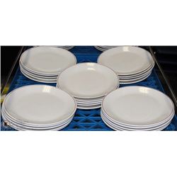 FLAT OF 25 DINNER PLATES