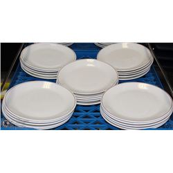 FLAT OF 25 DINNER PLATES