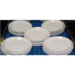FLAT OF 25 DINNER PLATES