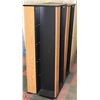 Image 1 : PAIR OF CD STORAGE CABINETS 18"X18"X52"H