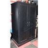 Image 1 : BLACK 2 DOOR CABINET