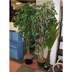 3 SHOWHOME DÉCOR PLANTS, 2 X 6' TALL AND 1 X 4'