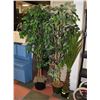 Image 1 : 3 SHOWHOME DÉCOR PLANTS, 2 X 6' TALL AND 1 X 4'