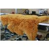 Image 2 : NEWZEALAND SHEEP SKIN