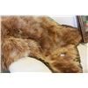 Image 2 : BEAR SKIN RUG