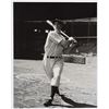 Image 1 : Joe DiMaggio