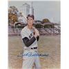 Image 3 : Ted Williams