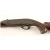Image 3 : Remington Nylon 66 .22 LR NVSN