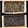 Image 1 : Lot of Hard Cast Bullets