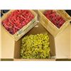 Image 1 : Very Large Lot of 20 Ga & 28 Ga Hulls