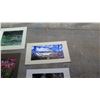Image 8 : Qty 9 Photographs: Trees, Misty Rural Scenes (largest is 16" L x 23" H)