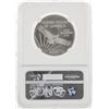 Image 2 : 2008 NGC MS69 $100 Eagle Platinum Coin