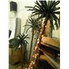Image 2 : LIGHTED PALM TREE