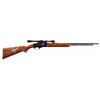 Ted Nugent Signed Remington Model 552 .22 Rifle