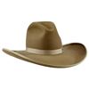 Image 1 : Tyler Beard's Custom Kevin O'Farrell Cowboy Hat