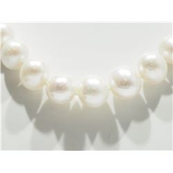 #63-STERLING SILVER LARGE FRESHWATER PEARL