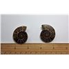 Image 1 : #22 - SET OF 2 SPLIT AMMONITE SHELLS