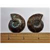Image 2 : #22 - SET OF 2 SPLIT AMMONITE SHELLS