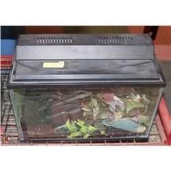 10 GALLON AQUARIUM WITH CONTENTS