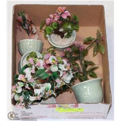 BOX OF ASIAN BONSAI TREES