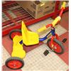 Image 1 : DESTINY TRICYCLE