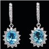 Image 1 : Natural Swiss Topaz Earrings