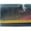 Image 6 : 1994 - FORD TEMPO