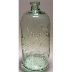 Buffalo Lithia Water Pictorial Bottle