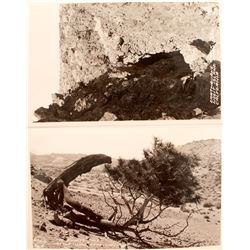 Two Frasher Real Photo Postcards of Mono Lake