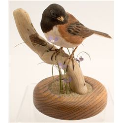 Oregon Junco by Jerry Dollar