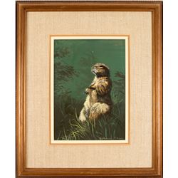 Little Critter by Judy Phearson