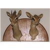 Image 1 : Dik-Dik Shoulder Mount Pair