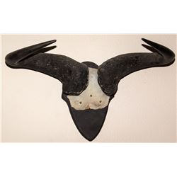 Wildebeest Horns Mount