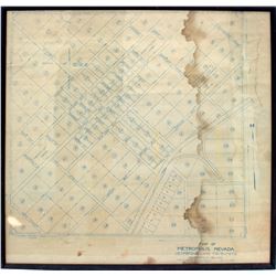 Metropolis Blue Print Plat Map