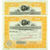 Image 1 : Yellow Gold of Cripple Creek Stock Certificates